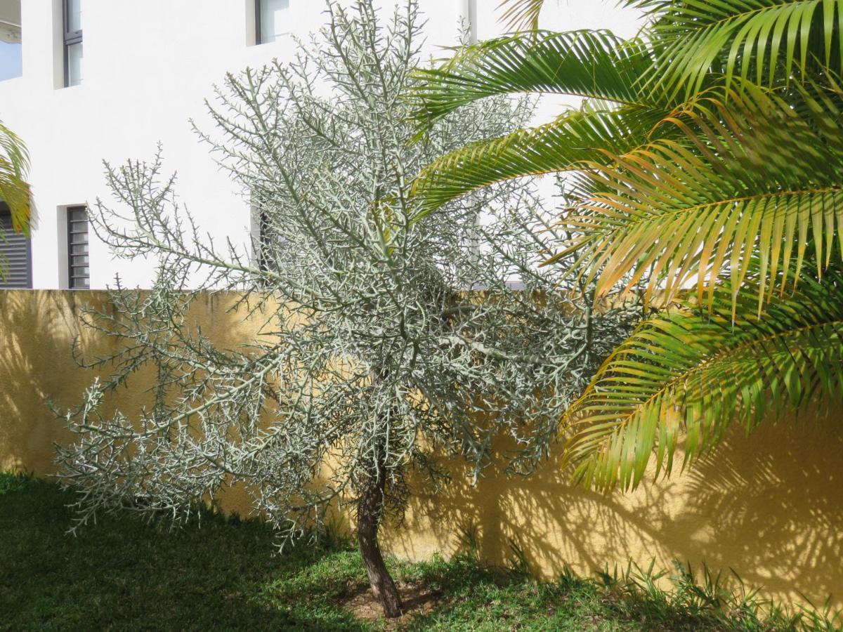 Villa Canelle Trou aux Biches Bagian luar foto